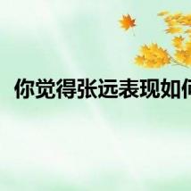 你觉得张远表现如何？