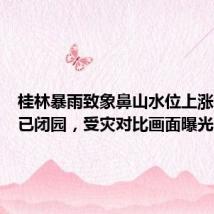 桂林暴雨致象鼻山水位上涨,景区已闭园,受灾对比画面曝光