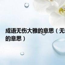 成语无伤大雅的意思(无伤大雅的意思)