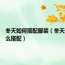 冬天如何搭配服装(冬天服装怎么搭配)