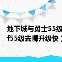 地下城与勇士55级(dnf55级去哪升级快)