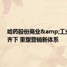哈药股份商业&工业双管齐下 重塑营销新体系