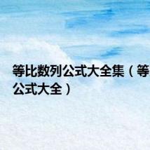 等比数列公式大全集(等比数列公式大全)