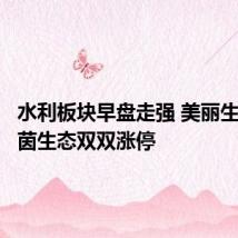 水利板块早盘走强 美丽生态、绿茵生态双双涨停