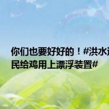 你们也要好好的!#洪水过境村民给鸡用上漂浮装置#