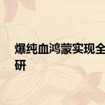 爆纯血鸿蒙实现全部自研