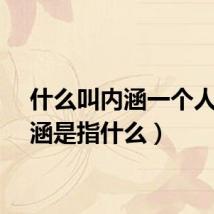 什么叫内涵一个人（内涵是指什么）