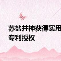 苏盐井神获得实用新型专利授权
