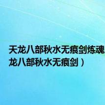天龙八部秋水无痕剑炼魂后(天龙八部秋水无痕剑)