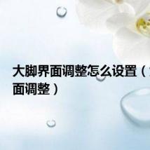 大脚界面调整怎么设置(大脚界面调整)