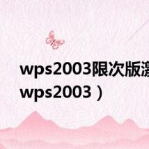 wps2003限次版激活(wps2003)