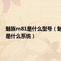 魅族m81是什么型号(魅族m8是什么系统)