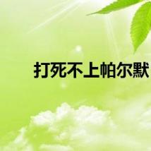 打死不上帕尔默