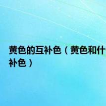 黄色的互补色(黄色和什么是互补色)