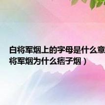 白将军烟上的字母是什么意思(白将军烟为什么痞子烟)