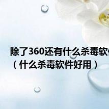 除了360还有什么杀毒软件好用（什么杀毒软件好用）