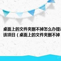 桌面上的文件夹删不掉怎么办提示找不到该项目(桌面上的文件夹删不掉)