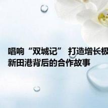 唱响“双城记” 打造增长极|万州新田港背后的合作故事