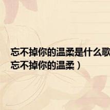 忘不掉你的温柔是什么歌抖音（忘不掉你的温柔）