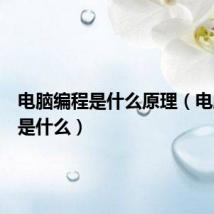 电脑编程是什么原理(电脑编程是什么)