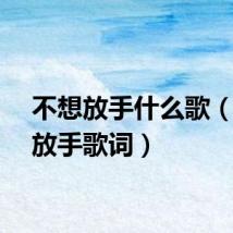 不想放手什么歌（不想放手歌词）