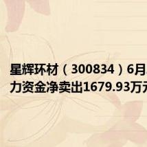 星辉环材(300834)6月20日主力资金净卖出1679.93万元
