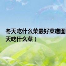冬天吃什么菜最好菜谱图片(冬天吃什么菜)