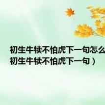 初生牛犊不怕虎下一句怎么回答(初生牛犊不怕虎下一句)
