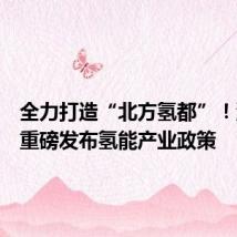 全力打造“北方氢都”!沈阳市重磅发布氢能产业政策