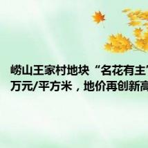 崂山王家村地块“名花有主” 3.95万元/平方米,地价再创新高