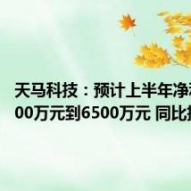 天马科技:预计上半年净利润5000万元到6500万元 同比扭亏