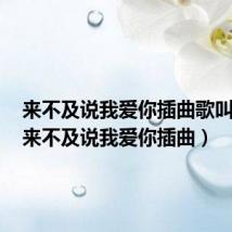 来不及说我爱你插曲歌叫什么（来不及说我爱你插曲）