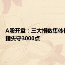 A股开盘:三大指数集体低开 沪指失守3000点