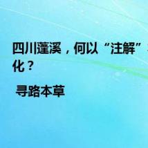 四川蓬溪,何以“注解”本草文化?| 寻路本草
