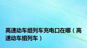 高速动车组列车充电口在哪（高速动车组列车）