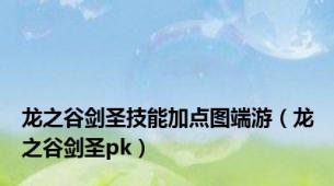 龙之谷剑圣技能加点图端游（龙之谷剑圣pk）