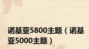 诺基亚5800主题（诺基亚5000主题）