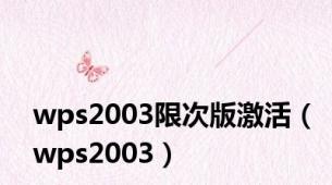 wps2003限次版激活（wps2003）