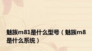 魅族m81是什么型号（魅族m8是什么系统）