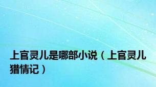 上官灵儿是哪部小说（上官灵儿猎情记）