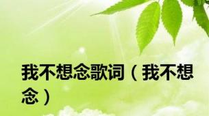 我不想念歌词（我不想念）