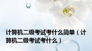 计算机二级考试考什么简单（计算机二级考试考什么）