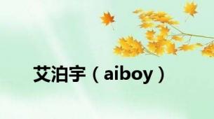 艾泊宇（aiboy）