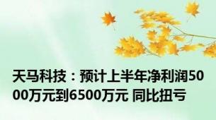 天马科技：预计上半年净利润5000万元到6500万元 同比扭亏