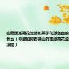 山药蛋派荷花淀派和茶子花派各自的主要特点是什么（你是如何看待山药蛋派荷花淀派和茶子花派的）