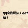 qq宠物玩法（qq宠物答题）
