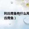 利齿青鱼有什么用（利齿青鱼）