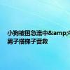 小狗被困急流中&#32;两男子搭梯子营救