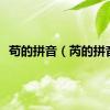 苟的拼音（芮的拼音）