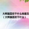 大熊猫喜欢干什么他是怎么干的（大熊猫喜欢干什么）
